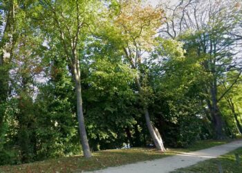 Boulevard Bellerive à Rueil-Malmaison