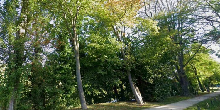 Boulevard Bellerive à Rueil-Malmaison
