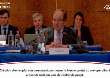 Création d&rsquo;un emploi non permanent : le maire refuse de révéler au conseil municipal le salaire de cet agent contractuel