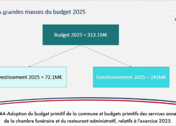 Record : 313 millions d&rsquo;euros pour le budget primitif 2025
