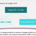 Record : 313 millions d&rsquo;euros pour le budget primitif 2025