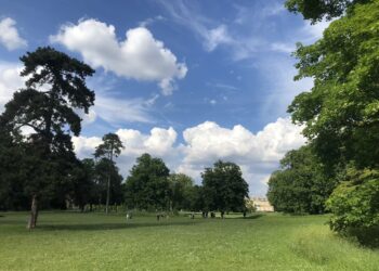 Parc de Bois-Préau, photo : Hassan Lazrag