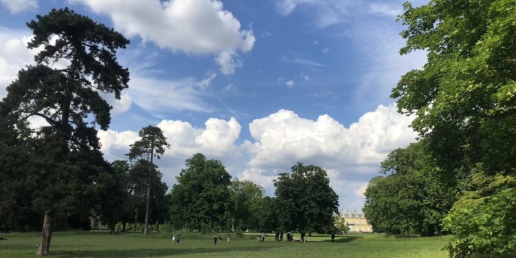 Parc de Bois-Préau, photo : Hassan Lazrag