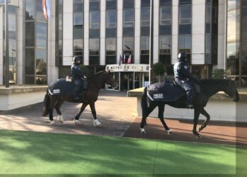 Brigade équestre de Rueil-Malmaison - photo Hassan Lazrag